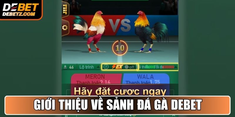 Đá Gà DEBET 1 Giới thiệu về sảnh Đá Gà DEBET